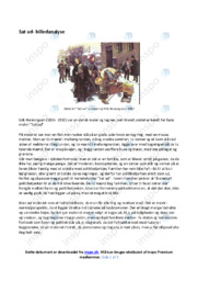 Sat ud | Billedanalyse | Analyse