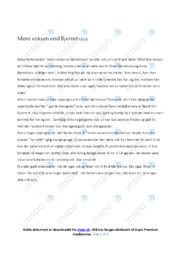 Mere voksen end Bjerrehuus | Analyse