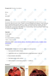 Dissektion af grisehjerte | Forsøg