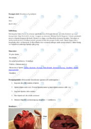 Dissektion af grisehjerte | Opgave