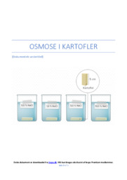 Osmose i kartofler | Opgave