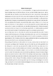 Mellem himmel og jord | Essay