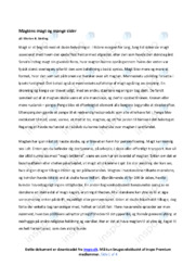 Magtens sider og betydninger | Dansk | Essay