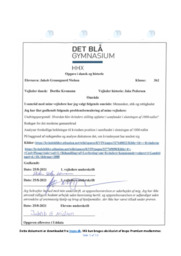 Etik og Rettigheder | Opgave | DHO