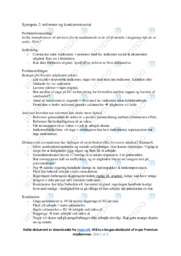 Problemformulering | Opgave