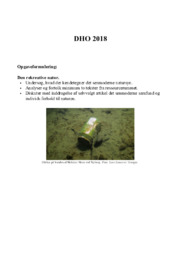 Senmoderne natursyn & ressourcerummet | DHO