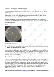 Behandling af middagsrester | Biologi Opgave 3