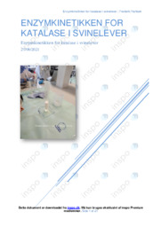 Enzymkinetikken for katalase i svinelever | Opgave