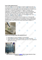 Gelelektroforese | Opgave