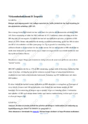 JBS AS | Analyse  Årsprøve