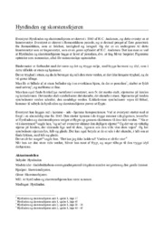 Hyrdinden og skorstensfejeren | Analyse | H.C. Andersen