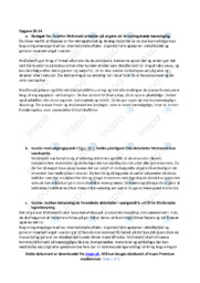 McDonald og Lego | Analyse