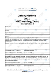 Den danske indsats mod Islamisk Stat | DHO