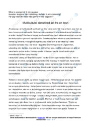 Brun mands byrde | Analyse | Hassan Preisler