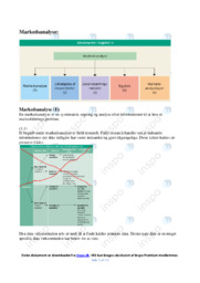 Markedsanalyse | Noter i afsætning | Over 13 sider