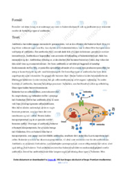 Antibiotika | Biologi