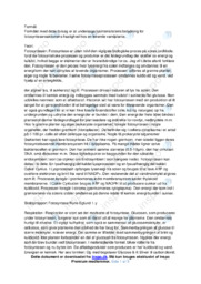 Fotosyntese | Rapport