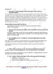Glycolyse, Krebs, Cyklus og respirationskæden | Noter Biologi