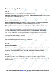 Nervesystemet & Alkohol | Noter Biologi