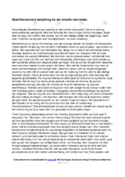 Skønlitteraturens betydning for det enkelte… | Dansk Essay