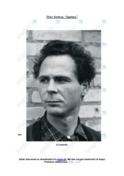 Spionen | Analyse | Peter Seeberg