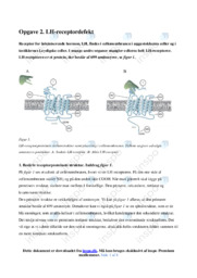 Forplantning og hormoner | Opgave