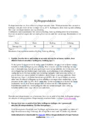 Kyllingeproduktion | Opgave