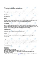 Arbejdet med Bananfluerne | DHO