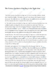 The Curious Incident of the Dog in the Night-time | Essay