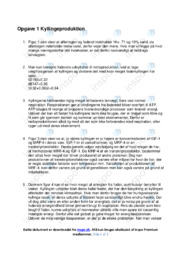 Kyllingeproduktion | Biologi Stil