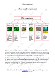 Hvad er mikroorganisme | Noter i biologi | Over 7 sider