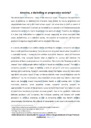 Materialism in USA | Essay