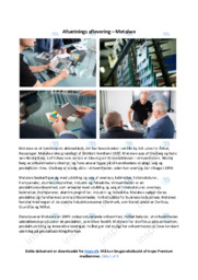 Metalwo | Analyse