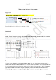 Matematik Terminsprøve HHX
