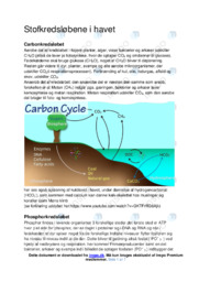 Stofkredsløbene i havet | Opgave