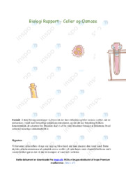 Celler og Osmose | Rapport Biologi