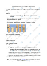 Muskler & Anatomi | Noter Idræt