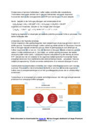 Carbohydraternes intermediaere stofskifte | Noter i bioteknologi