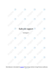 Saltsyre | Rapport