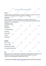 Reaktioner med carbonhydrider | Noter i kemi | Over 6 sider