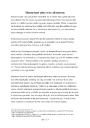 Analytical Essay | Engelsk