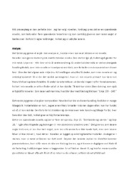 Den perfekte bror | Analyse