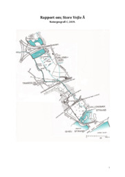 Rapport om; Store Vejle Å
