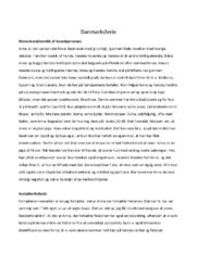 Danmarksferie | Analyse | Dansk