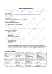 Segmenteringsprocessen | Analyse
