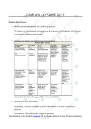 DAMI AS | Afsætning Case