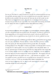 The White Cat | Analytical essay