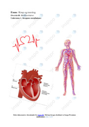 Krop og træning | Rapport Biologi