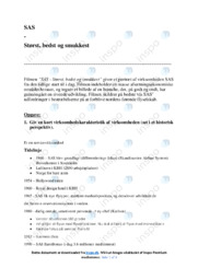 SAS | Analyse | Afsætning Noter