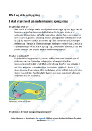 DNA og dets opbygning | Opgave
